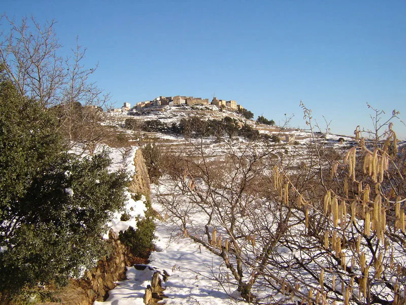 Verschneite Landschaft mit Bäumen und einem Dorf auf dem Hügel.