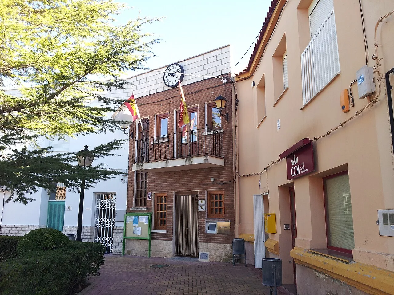 Edificio del ayuntamiento con banderas en la fachada y un árbol cercano.