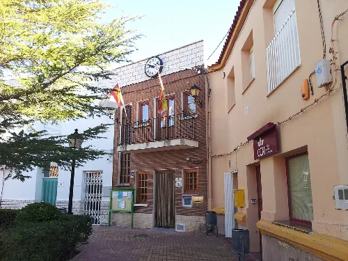 Edificio del ayuntamiento con banderas en la fachada y un árbol cercano.