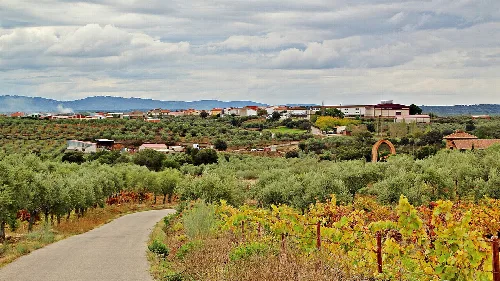 Panoramablick auf Ahigal mit Weinbergen und Gebäuden.