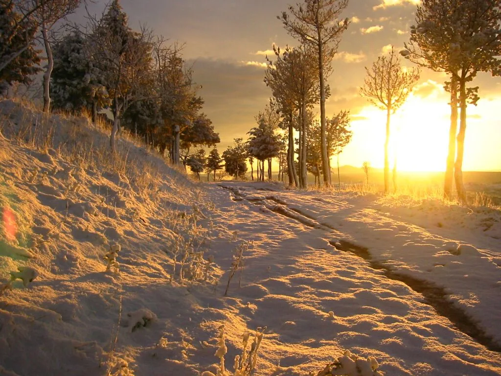 Snow-covered path with trees and sunset in Hinojosa de Duero.