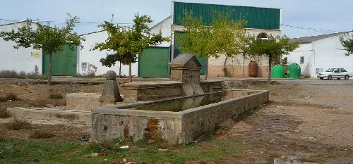 Steinbrunnen mit Wasser und Bäumen im Hintergrund.