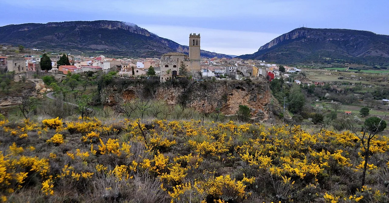 Landschaft mit gelben Blumen und einer Hügelstadt vor Bergen.
