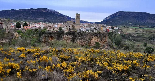 Landschaft mit gelben Blumen und einer Hügelstadt vor Bergen.