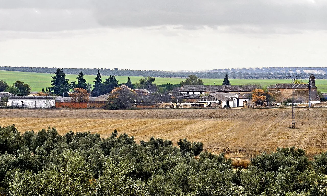 Rural landscape with houses, trees, and fields in Illán de Vacas, Toledo.