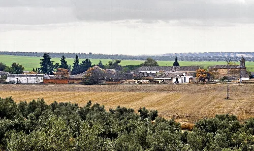 Ländliche Landschaft mit Häusern, Bäumen und Feldern in Illán de Vacas, Toledo.