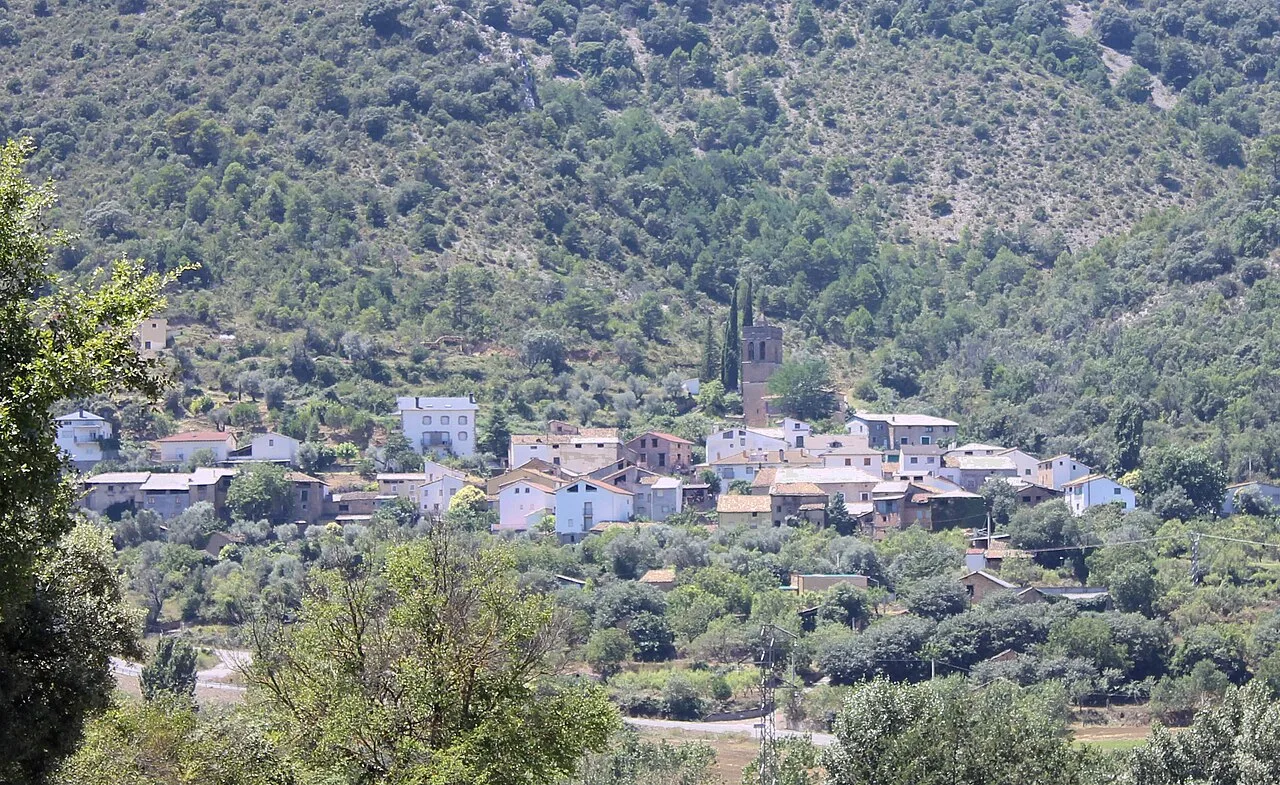 Envista cheneral d'o nuclio de Palo
