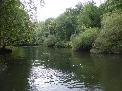 Mandeo-Fluss mit Bäumen und Wasser in Betanzos.