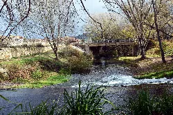 Fluss mit Vegetation und Brücke in Torrebaja, Valencia.