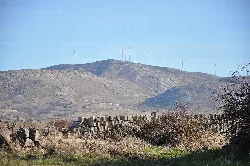 Landscape with hills and wind turbines in the background.