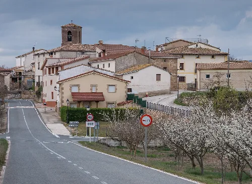 Blick auf Häuser und eine Kirche in Oco, Navarra, mit Bäumen im Vordergrund.