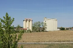 Silos de cereales antiguos en un campo con árboles en primer plano.