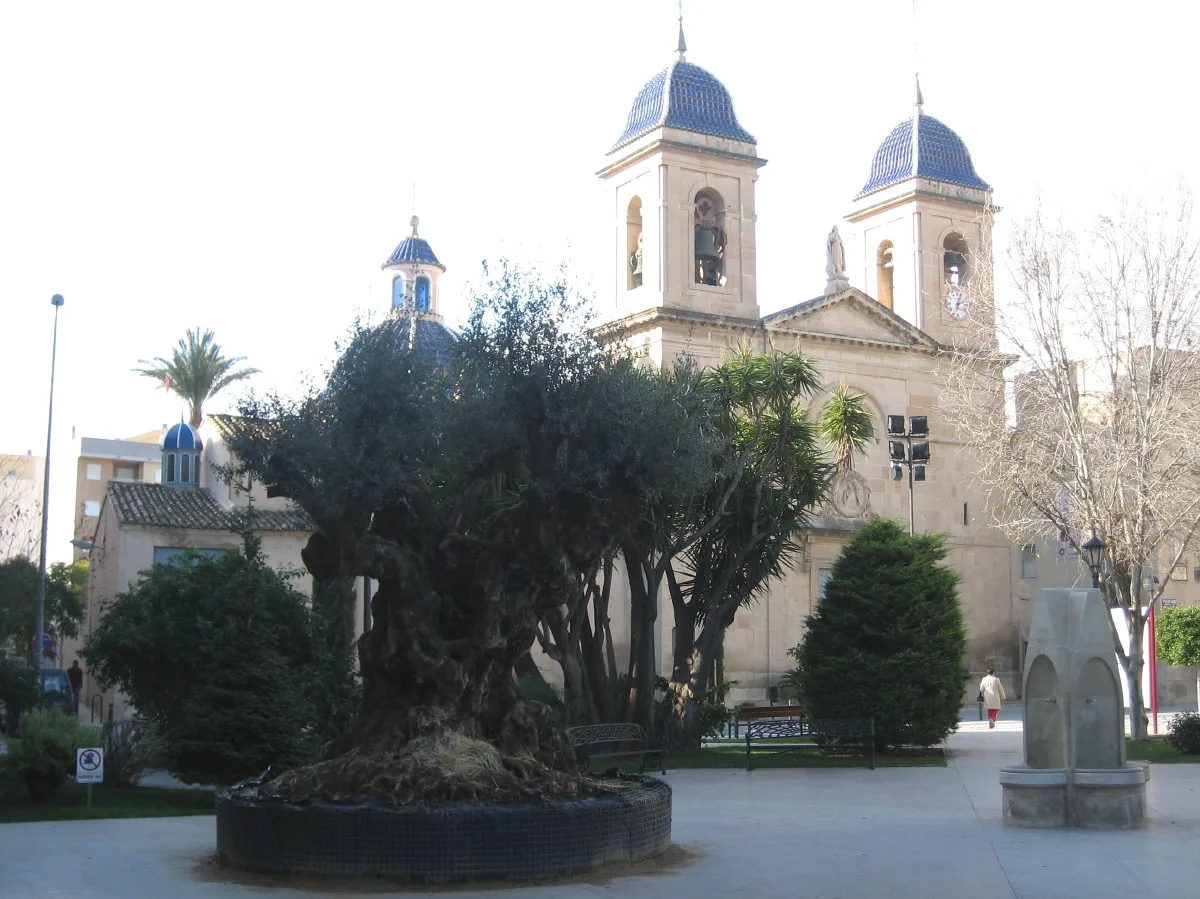 Rathausplatz mit Kirche und Bäumen in San Juan de Alicante.