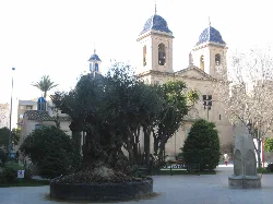 Rathausplatz mit Kirche und Bäumen in San Juan de Alicante.