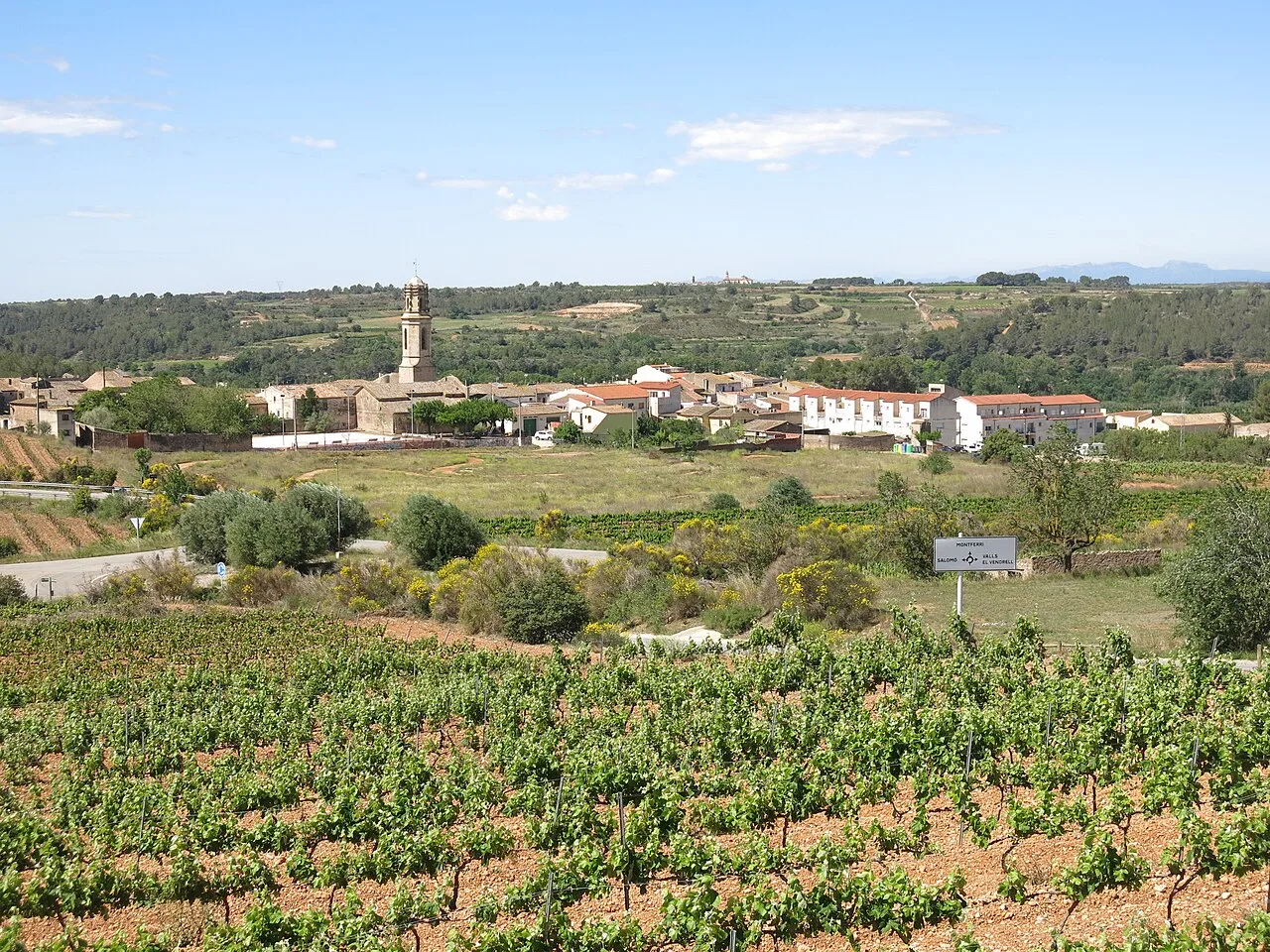 Montferri des del santuari de la Mare de Déu de Montserrat