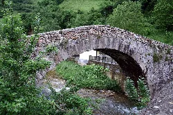 Stone bridge over a river with vegetation on the sides and in the background