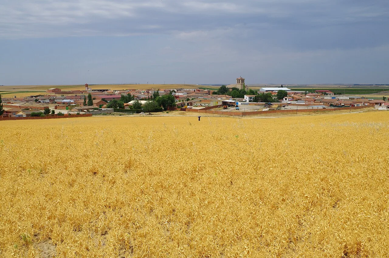Bobadilla del Campo and pea field (Valladolid, Spain)