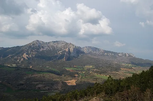 azuelo