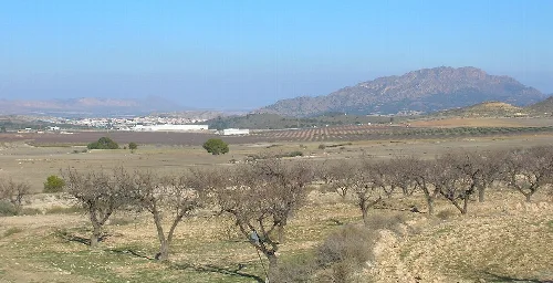 Landschaft mit Bäumen und Bergen in Calasparra, Murcia.