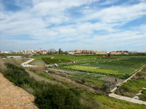 Landschaft mit grünen Feldern und Stadt am Horizont, bei bewölktem Himmel.