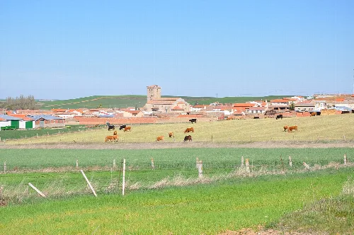 Overview of Mancera de Abajo, Salamanca, Spain.