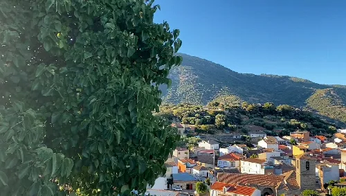 Blick auf rote Ziegeldächer und Berge im Hintergrund in Hinojosa de San Vicente.