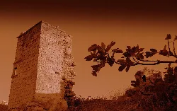 Steinturm in Eljas mit Ästen im Vordergrund und Sonnenuntergangshimmel.