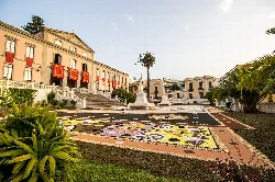 Colorful sand carpet in La Orotava with historic buildings and palm trees.