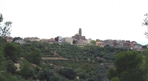 Vista panoràmica dels Guiamets (Priorat)