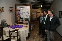 Männer in einem Raum, die eine Ausstellung mit Informationen und Fotos über Safran ansehen.