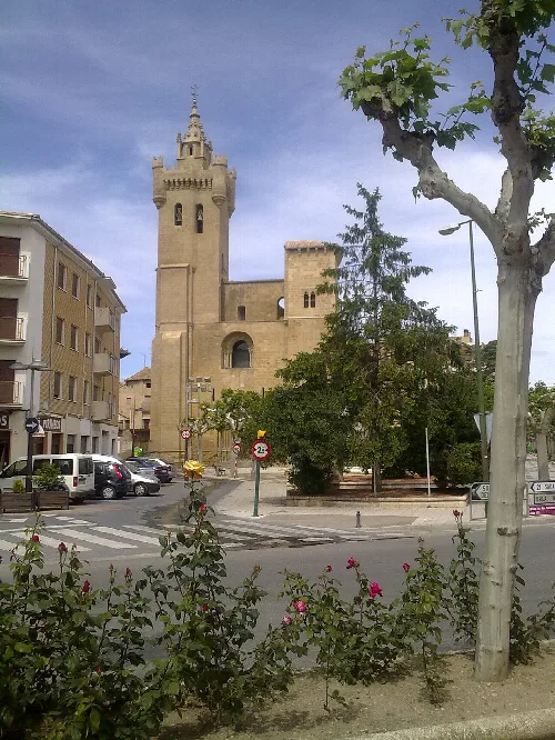 San Salvador church with tower and trees in the foreground in Ejea de los Caballeros.
