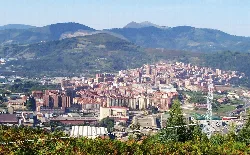 Vista aérea de Basauri con edificios y montañas en el horizonte.