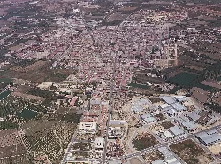 Aerial view of Almoradí with buildings and farmland.