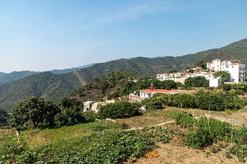 Ländliche Straßen mit weißen Häusern und Vegetation in Istán, Málaga.