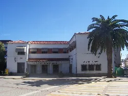 White building with palm tree and tourism office sign.
