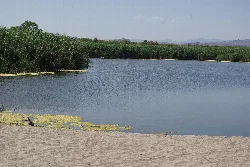 Laguna con vegetación y playa en Vera, Almería.