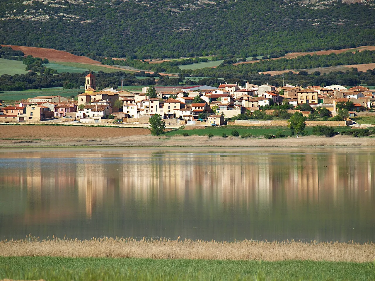 Village with houses and church by Gallocanta lagoon.