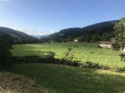 Green meadows and houses in a valley surrounded by mountains in Atxondo.