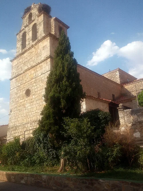 Church of St. James the Great with stone tower and large tree in front.