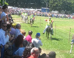 Eselrennen mit vielen Zuschauern und Reitern auf der Rennbahn.