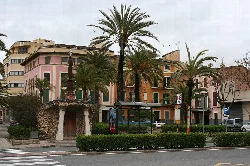 Palmeras y edificios en la Plaça de sa Mora en Manacor.