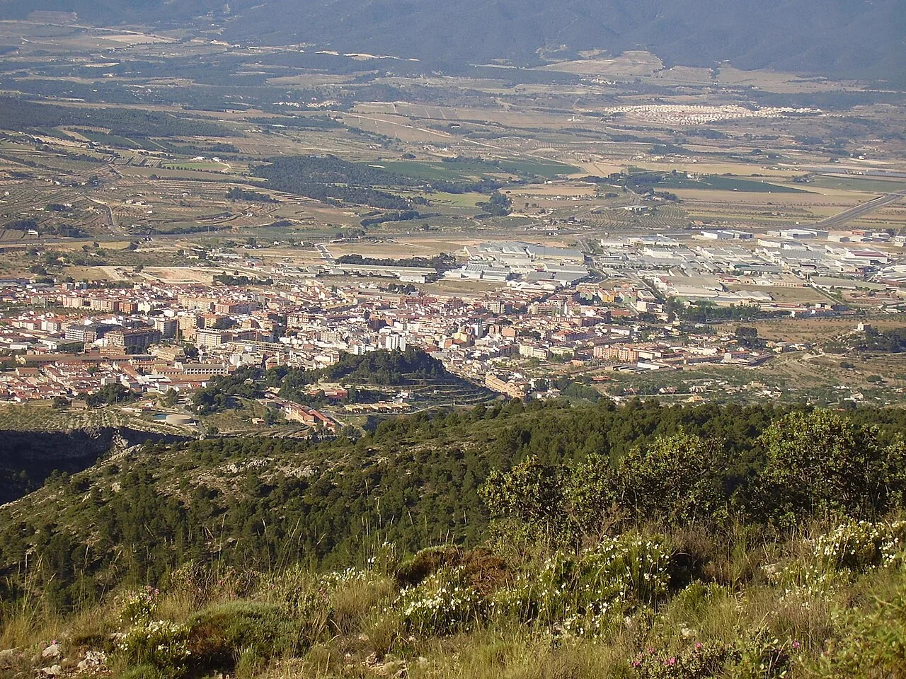 Panoramic view of Ibi from a hill, with houses and farmland.