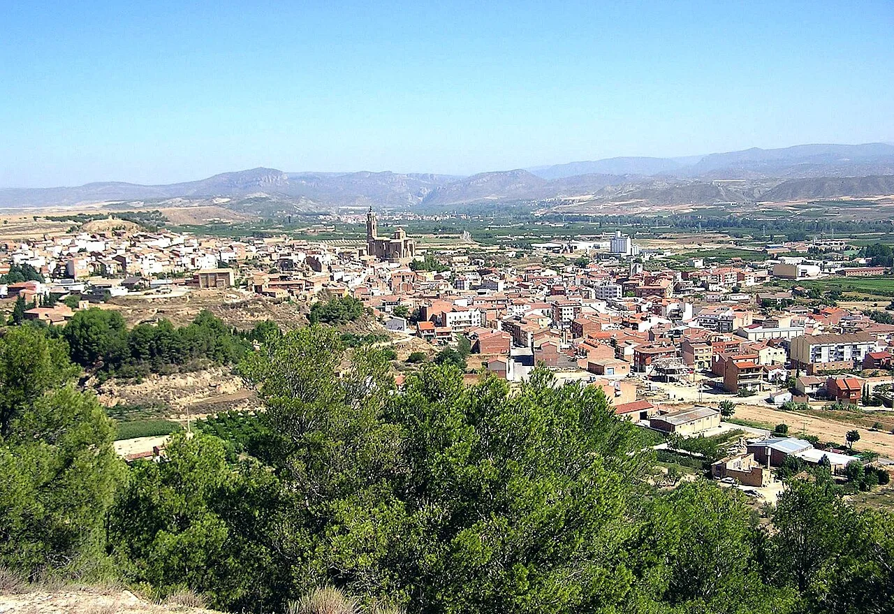 Vila d'Almenar vista des del Plà de Sessal