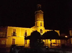 Town hall building with tower and trees at night.