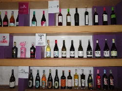 Rows of wine bottles on shelves in Batea, Tarragona.