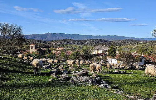 General view of Hortigüela with sheep and mountains in the background.