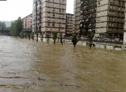 Río Nerbioi inundando una zona urbana con edificios y árboles.