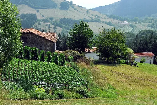 Paisaje rural con casas y vegetación en Zalla, Vizcaya.