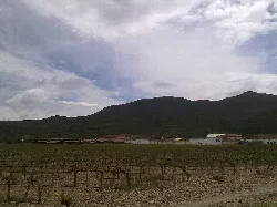 Weinberge und Häuser in Gallipienzo mit Bergen im Hintergrund.