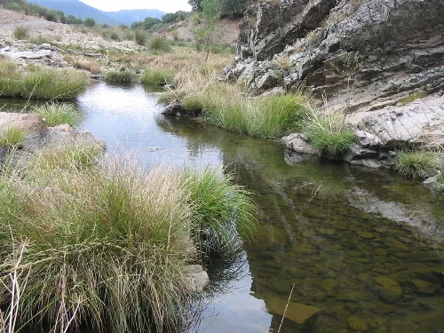 Fluss in einem felsigen Tal mit Vegetation in Navas de Estena, Ciudad Real.